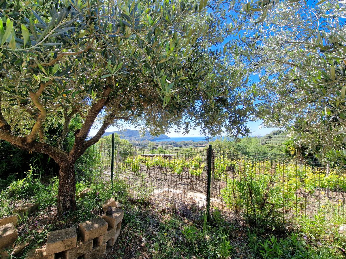 appartamento vacanze Elba