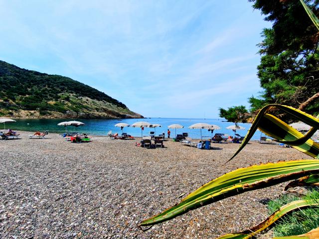 appartamento vacanze Elba
