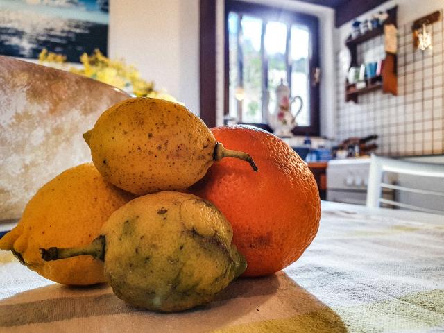 appartamento vacanze Elba
