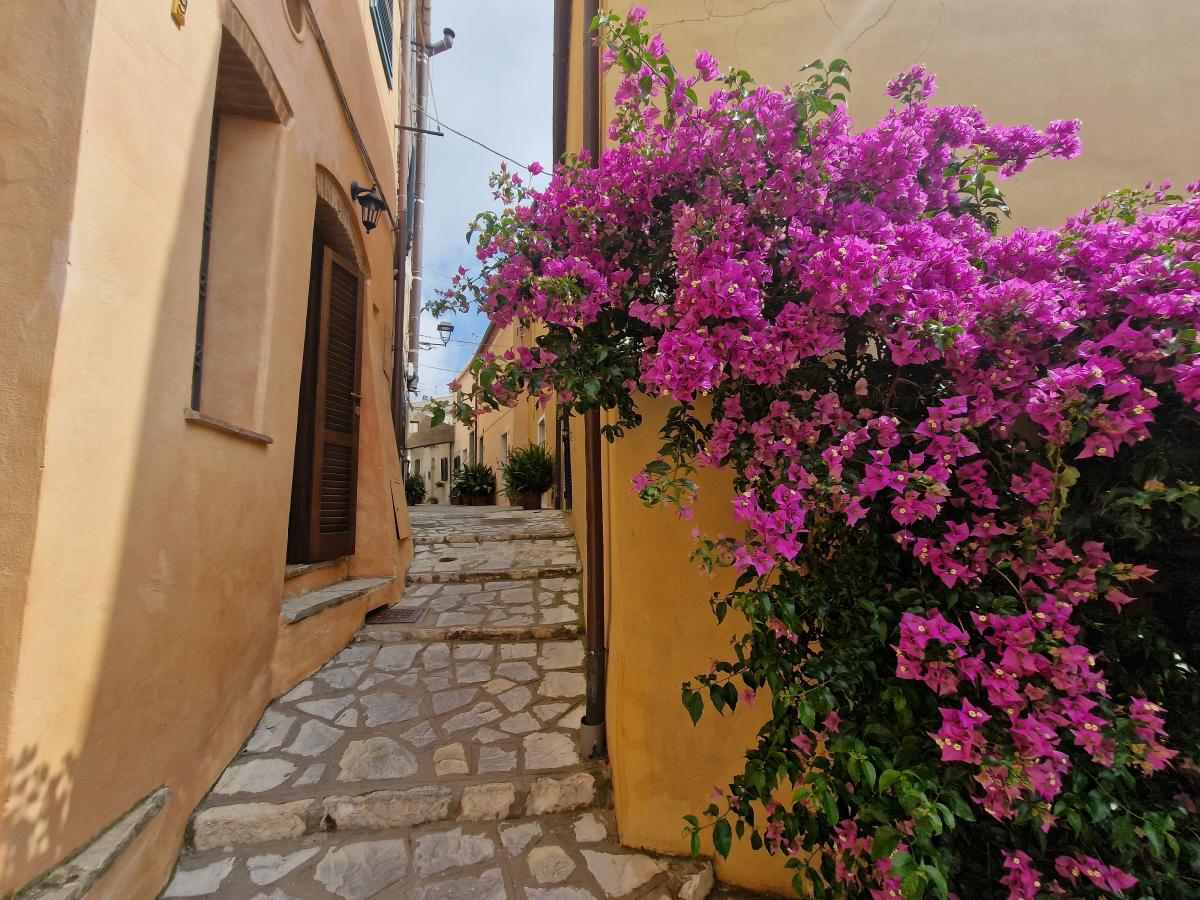 appartamento vacanze Elba