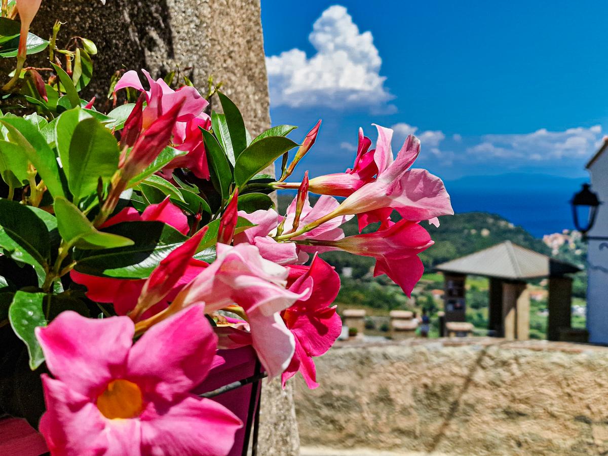 appartamento vacanze Elba