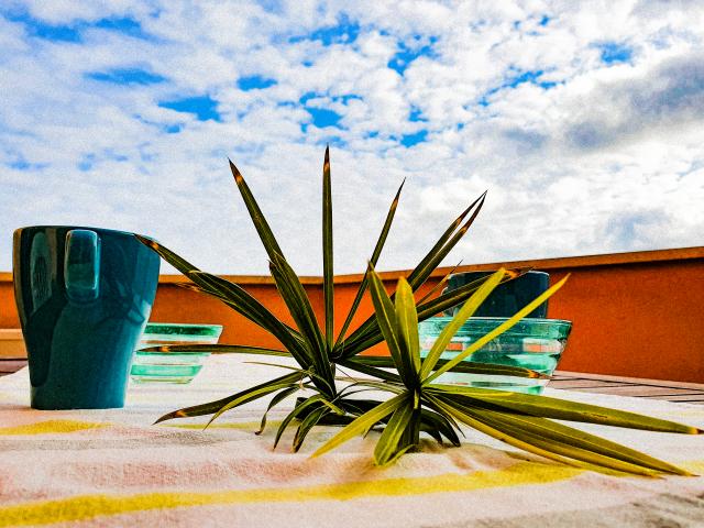 appartamento vacanze Elba