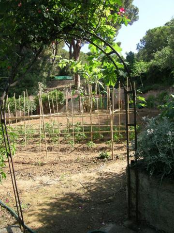 appartamento vacanze Elba