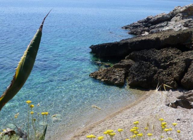 appartamento vacanze Elba