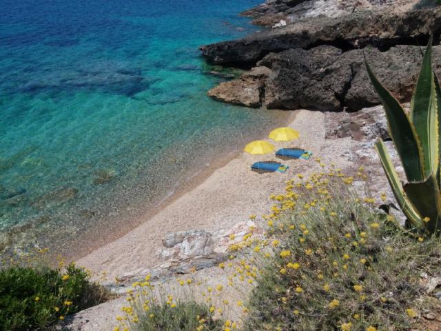 appartamento vacanze Elba
