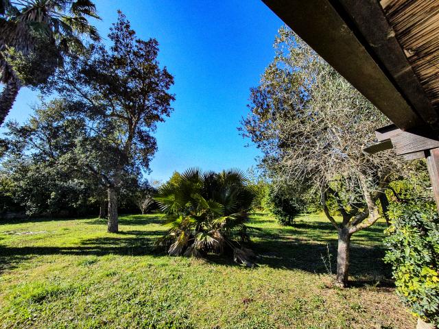 appartamento vacanze Elba